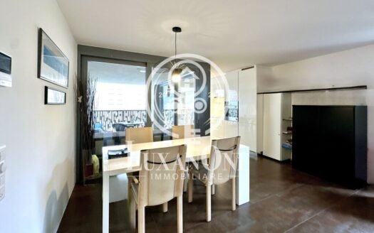 Moderne Wohnung in Minusio -Teilseesicht – Zweitwohnsitz